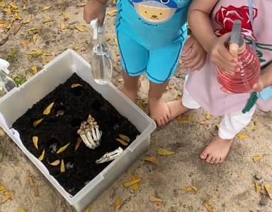 กิจกรรม Nature Sensory Play: เล่นสนุก สัมผัสธรรมชาติ